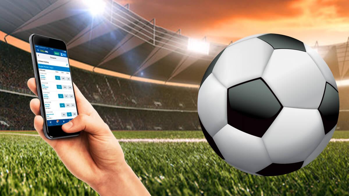 Understanding the Basics of Soccer Betting VIP Programs